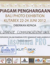 Kutabex & Insomnia Production