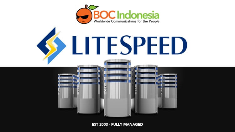 Hosting Litespeed di Indonesia