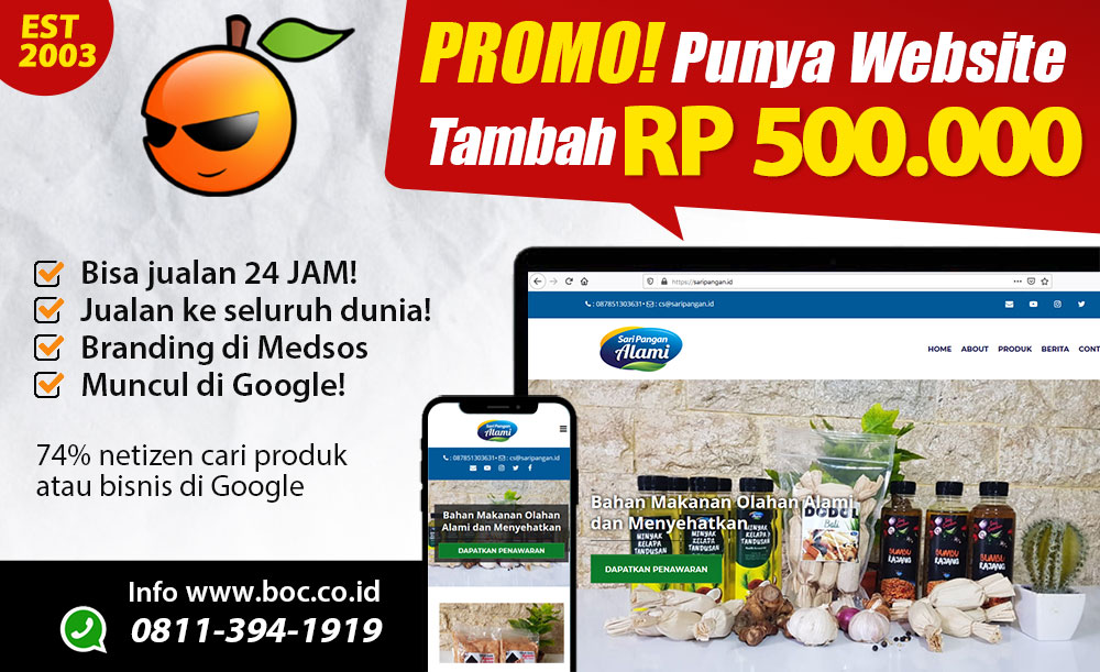 Promo website web design denpasar bali